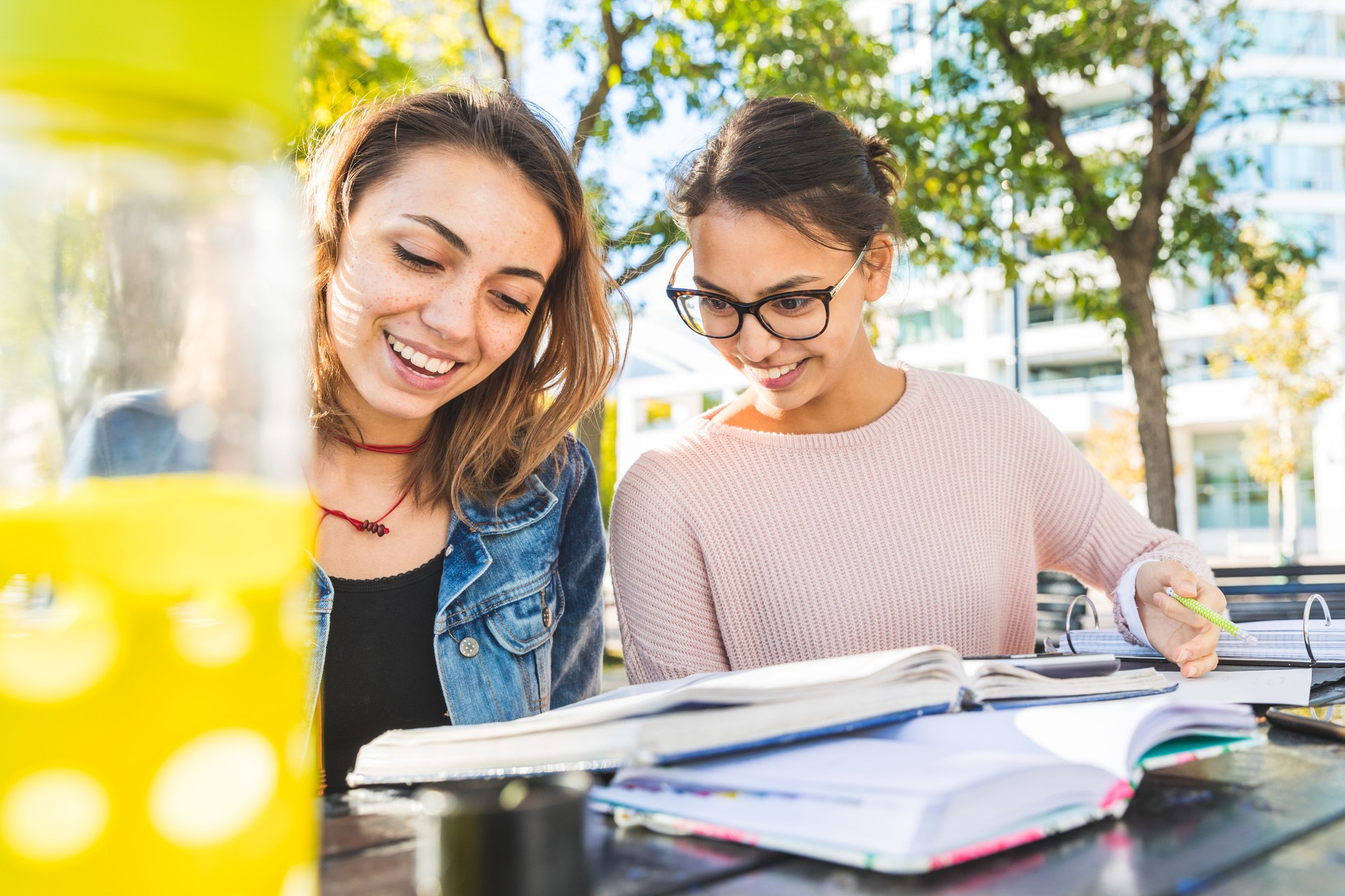Girls studying together at park